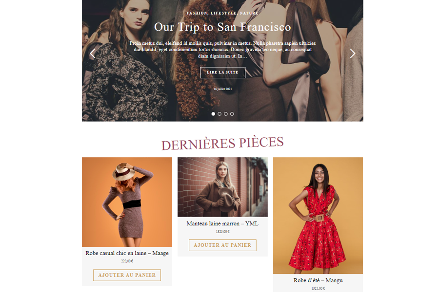 chic dessing ecommerce fashionable website