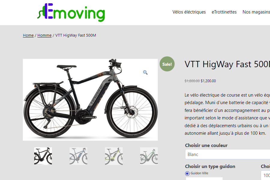 ecommerce for electric bikes