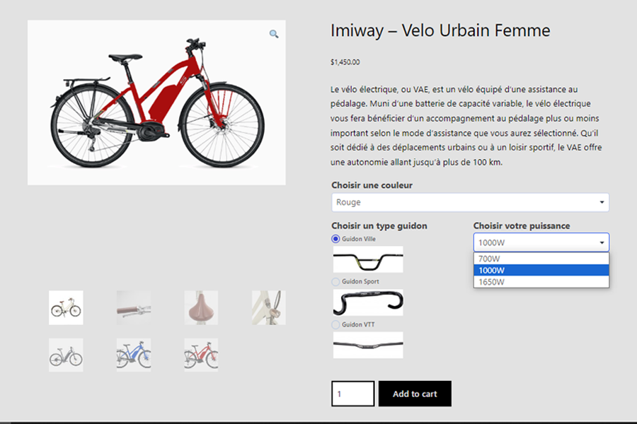 ecommerce for electric bikes