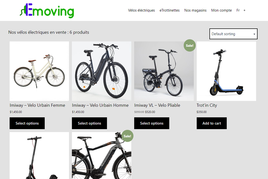 ecommerce for electric bikes