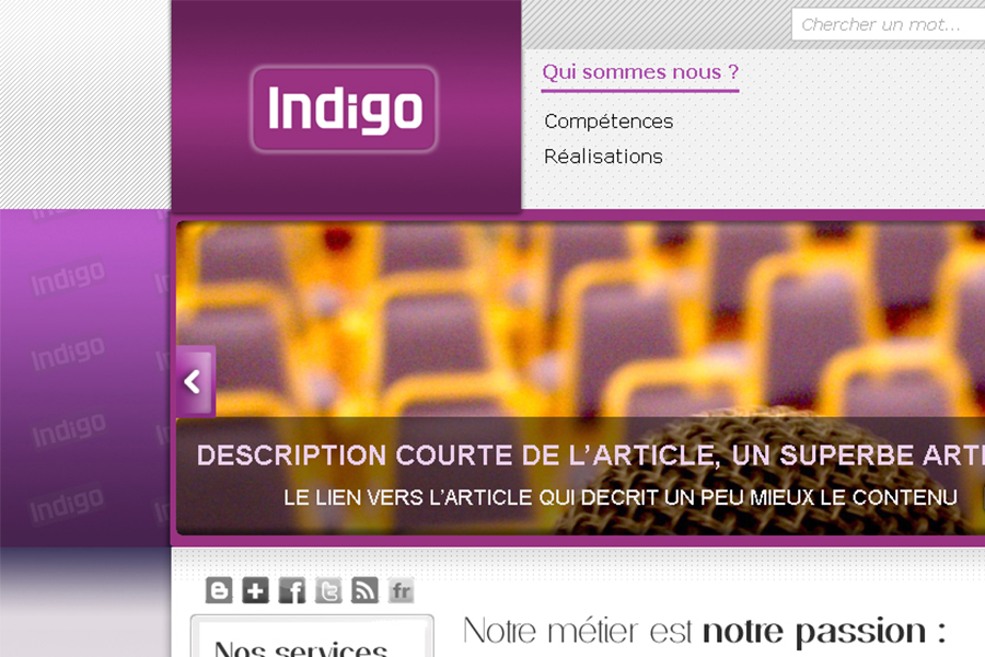 graphic template for indigo brand